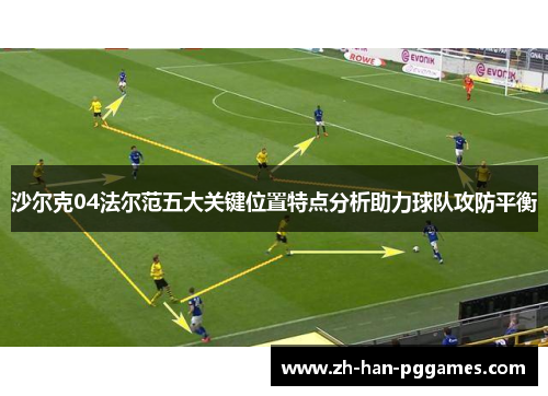 沙尔克04法尔范五大关键位置特点分析助力球队攻防平衡