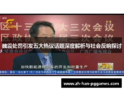 魏震处罚引发五大热议话题深度解析与社会反响探讨